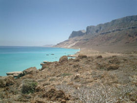 Yemen holiday in Socotra Island